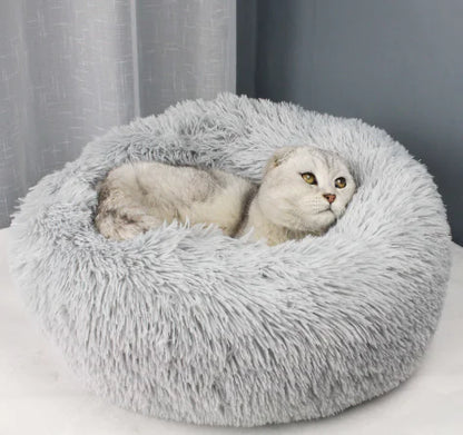 Comfy Calming Dog Bed