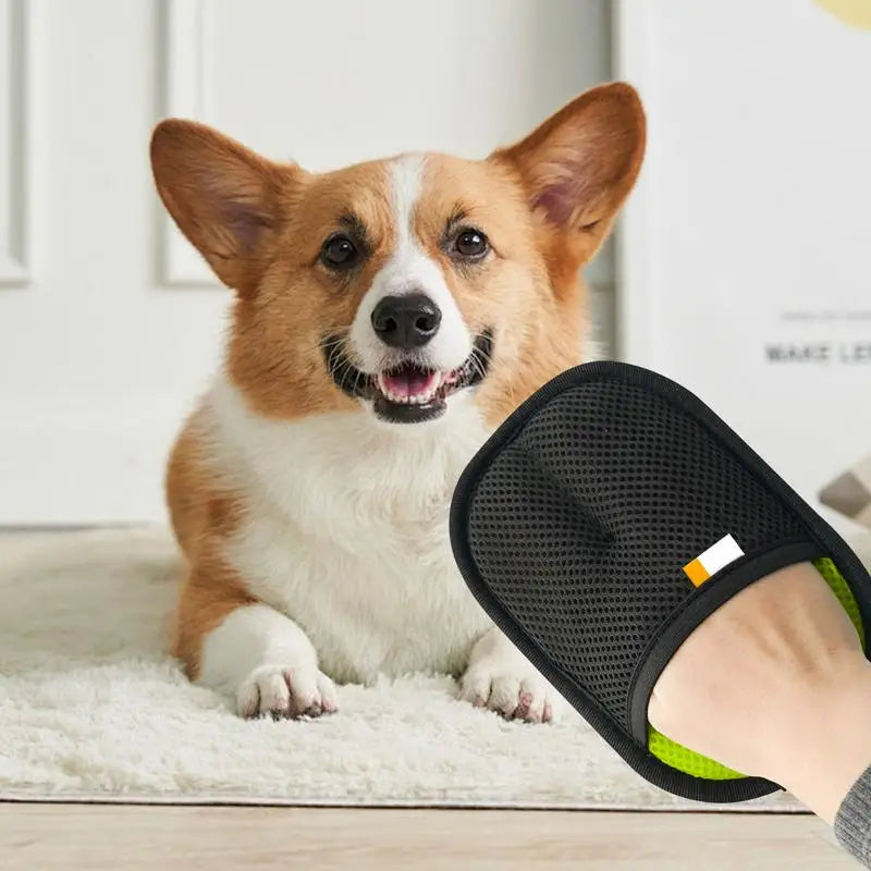 Sd945cdfdf2444caa9b1dc031c00572d5s